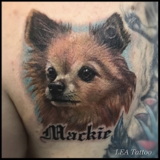 Chihuahua portrait in color  by LEA Tattoo