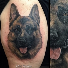 German Shepherd portrait in color  by LEA Tattoo