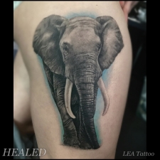 Elephant in color  by LEA Tattoo