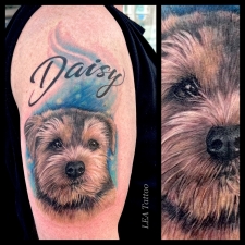 Dog portrait in color  by LEA Tattoo