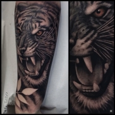 Tiger in black & gray  by LEA Tattoo