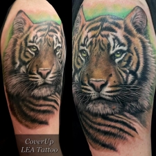 Tiger in color  by LEA Tattoo